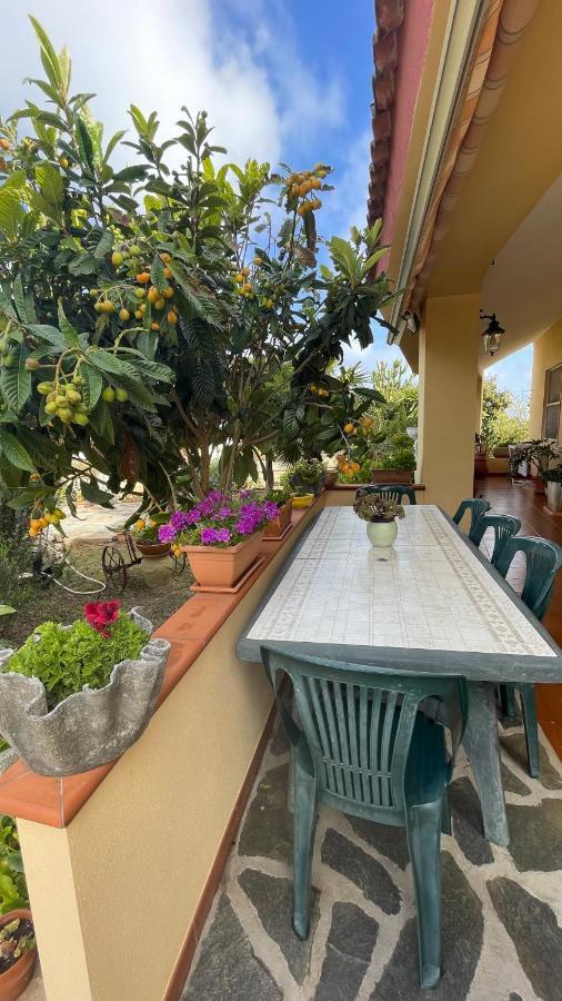La Mansarda Bed and Breakfast Biancareddu Buitenkant foto