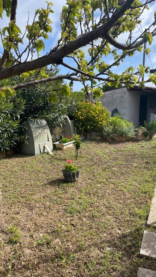 La Mansarda Bed and Breakfast Biancareddu Buitenkant foto